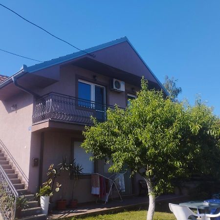 Apartment Andjela بلغراد المظهر الخارجي الصورة