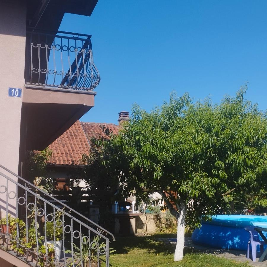 Apartment Andjela بلغراد المظهر الخارجي الصورة